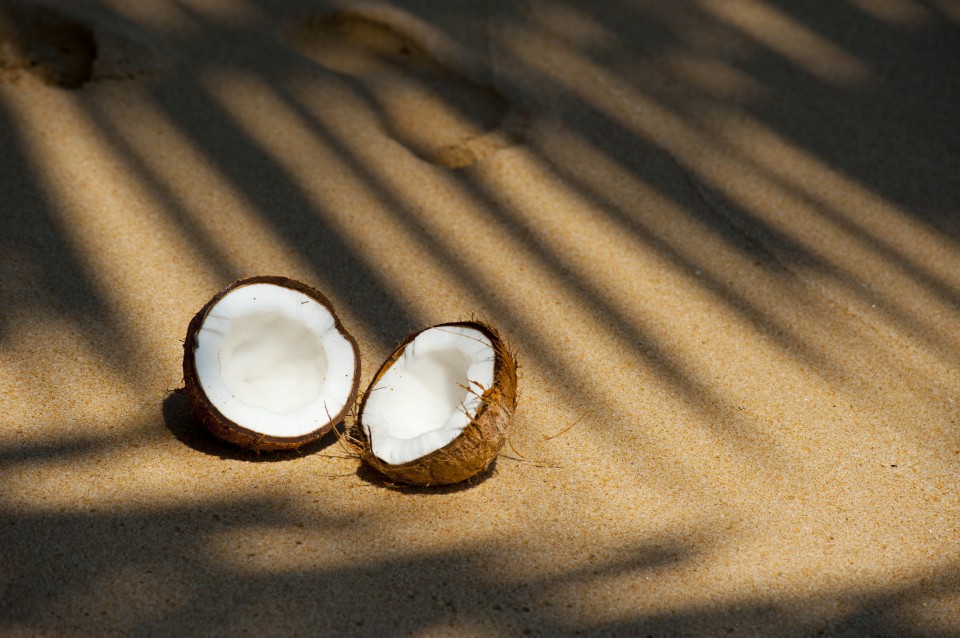 Totul Despre Lapte de Cocos: beneficii, proprietati, indicatii